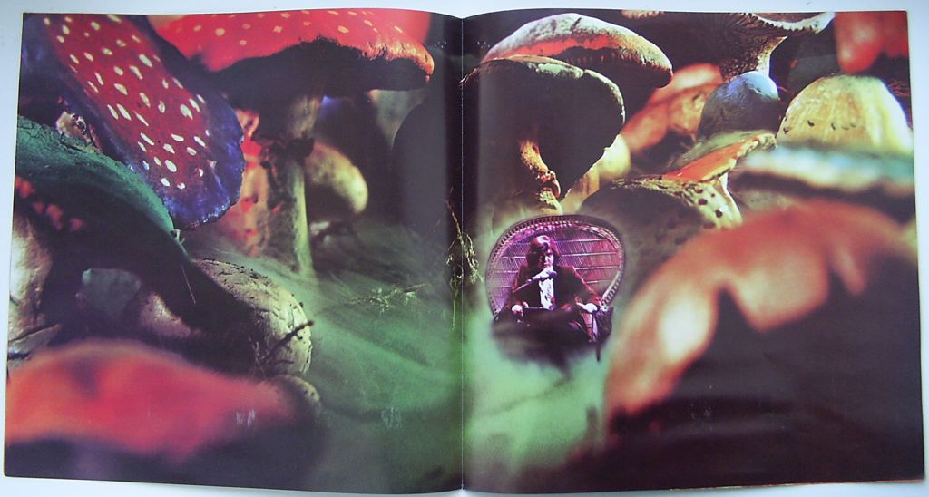 RICK WAKEMAN Journey To The Centre Of The Earth LP VG+/EX - фото фото фото 4