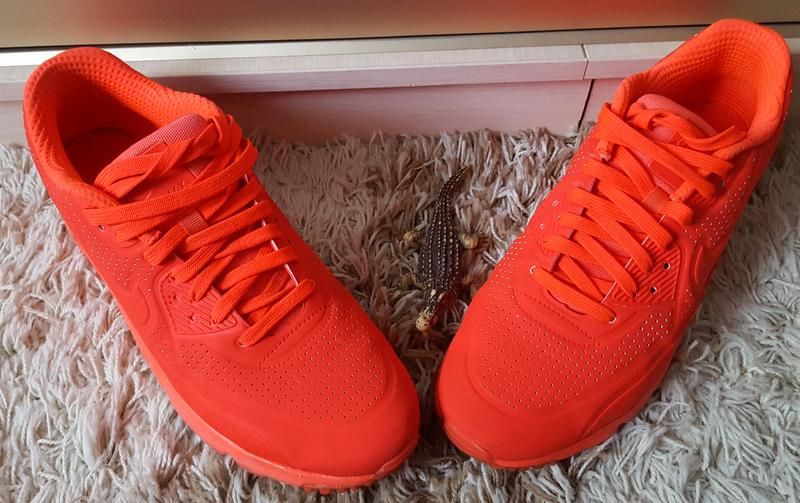 Эксклюзивные кроссовки nike air max original - фото фото фото 3