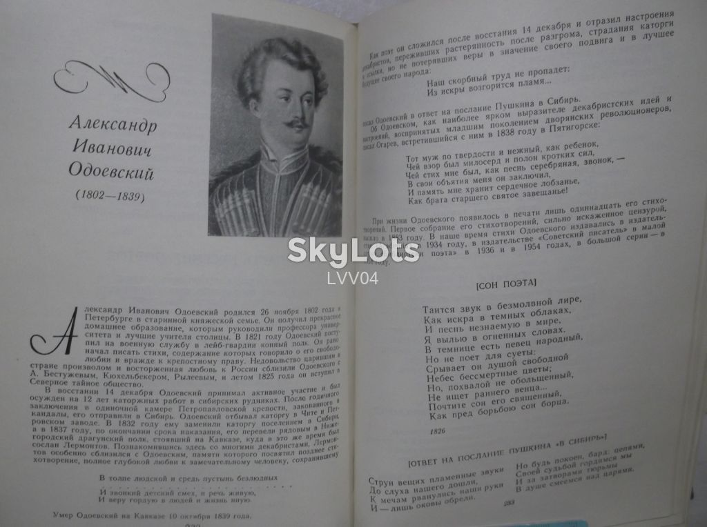 Русские поэты XIX века. Хрестоматия. Сост. Гайденков. 1964 - фото фото фото 7