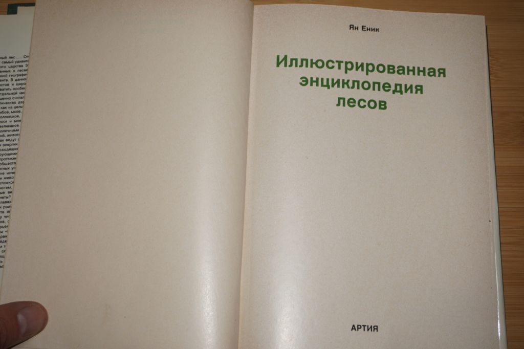 Еник Ян. Иллюстрированная энциклопедия лесов. - фото фото фото 1