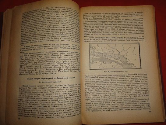 Геологическое строение СССР. Архангельский А. Д. 1932г. - фото фото фото 6