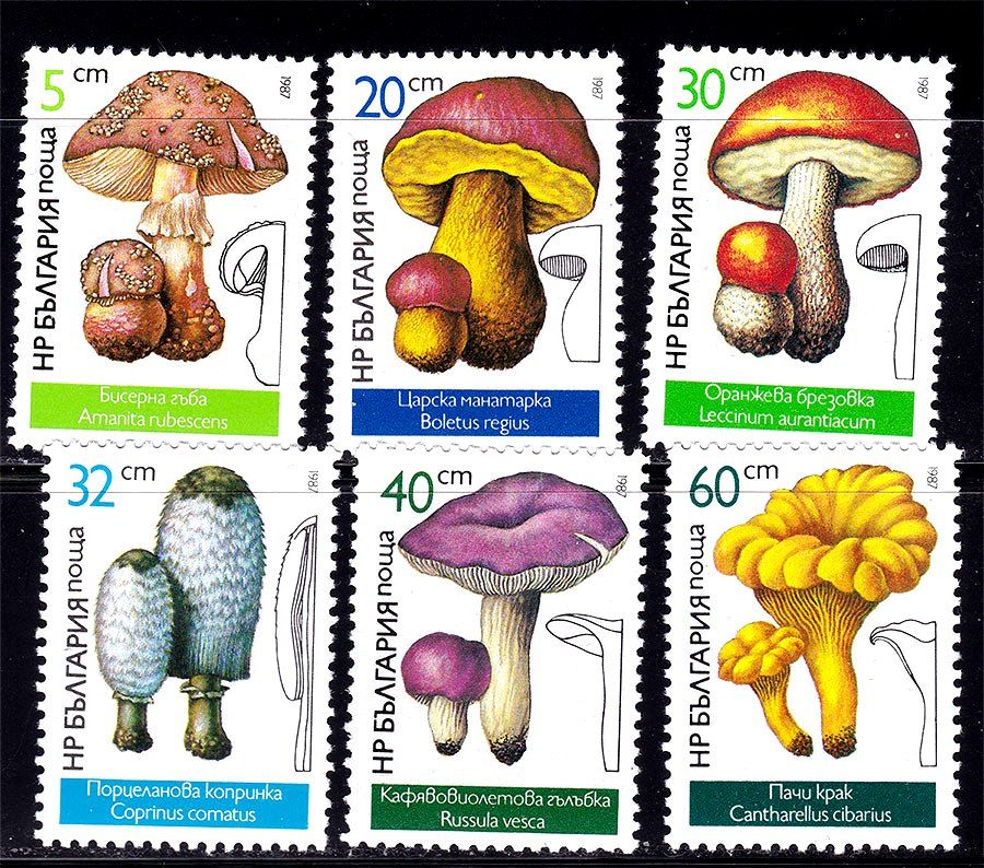 Флора . Болгаоия 1987 г MNH - грибы - фото фото фото 0