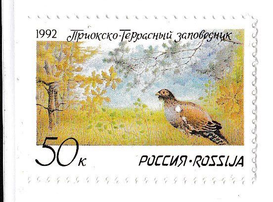 NM Фауна Россия  1992 г  MNH - птицы - фото фото фото 0