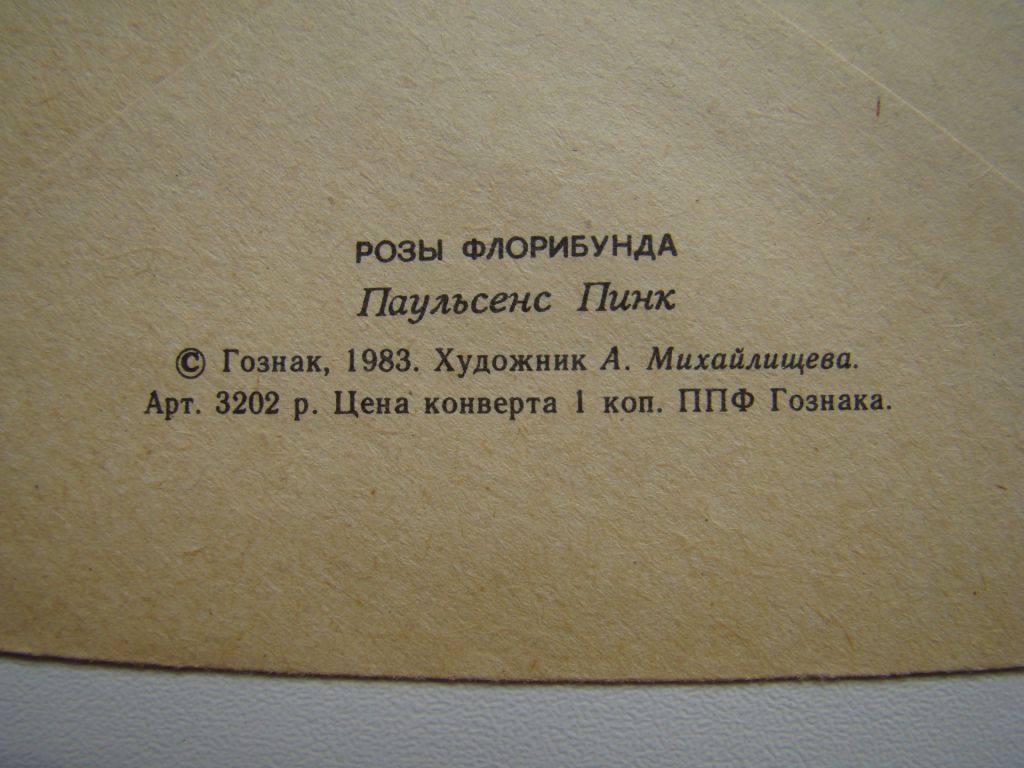 Конверт 3 шт. Розы Флорибунда 1983 г. из СССР. - фото фото фото 3
