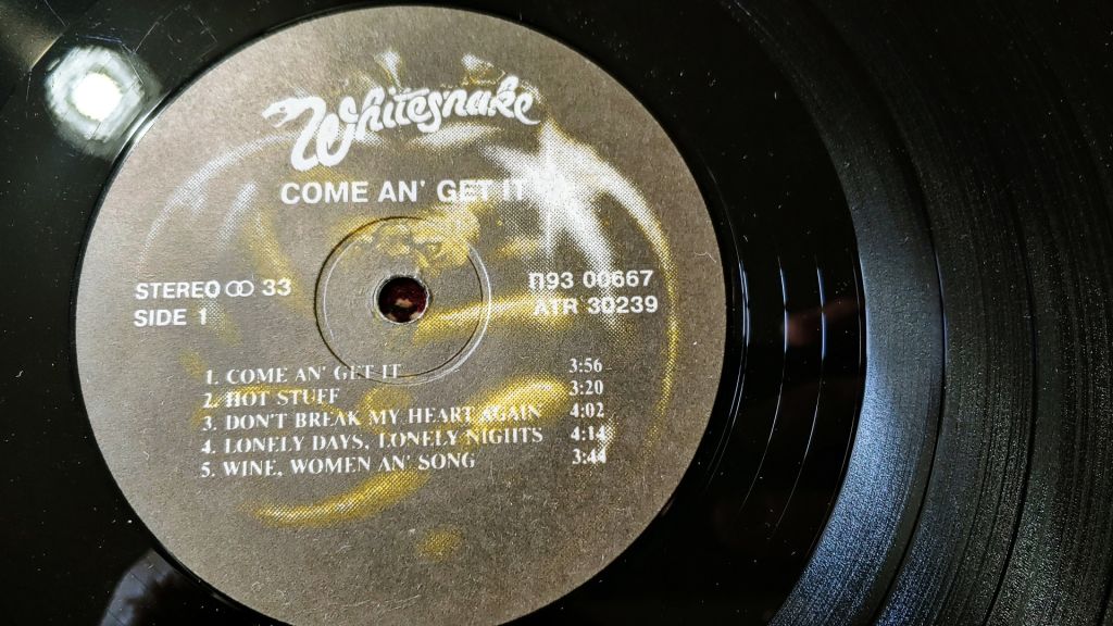 Whitesnake - Come an'get it - фото фото фото 2