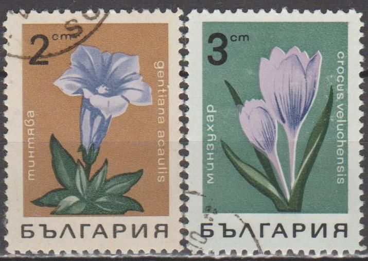Болгария Болгарія 1968 флора цветы - фото фото фото 0