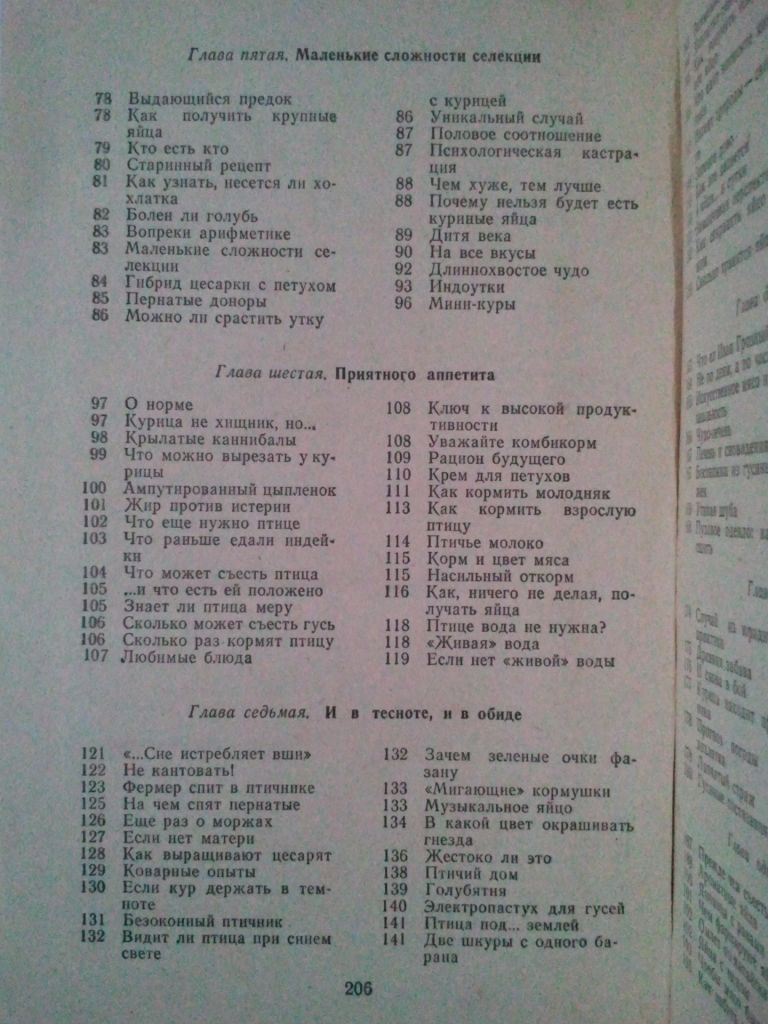 Птицы на вашем дворе. - фото фото фото 4