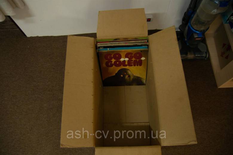 Вінілова платівка GO GO GOLDEM 1985 (№16) - фото фото фото 9
