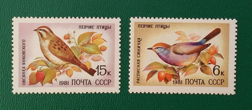 СССР 1981 г - 5221-5225**Певчие птицы, негаш - фото фото фото 2