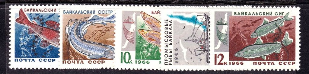 ZM  СССР 1966 г MNH - фауна - рыбы - фото фото фото 0