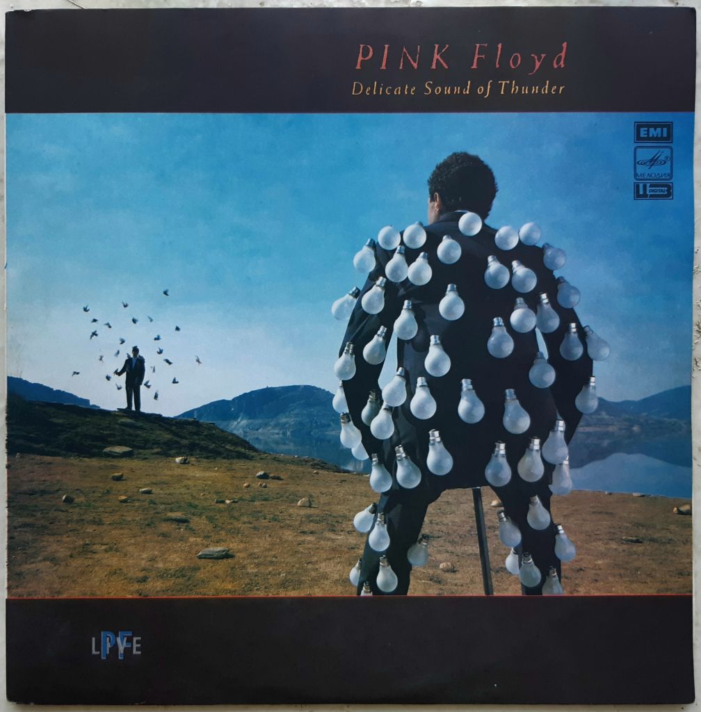 Pink Floyd - Delicate Sound Of Thunder - 1988.    (2LP). 12. Vinyl. Пластинки. - фото фото фото 1