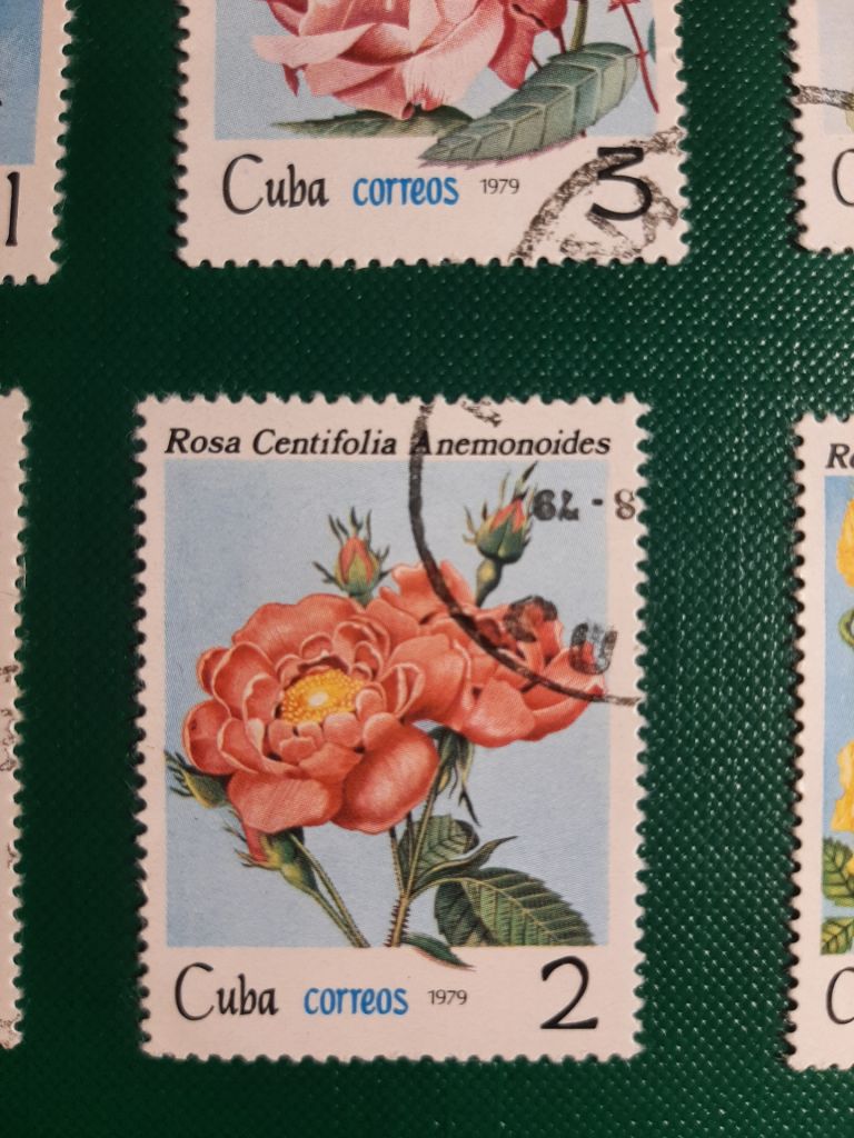 Марки Сuba correos rosa 1979  (розы, 6 шт) - фото фото фото 5