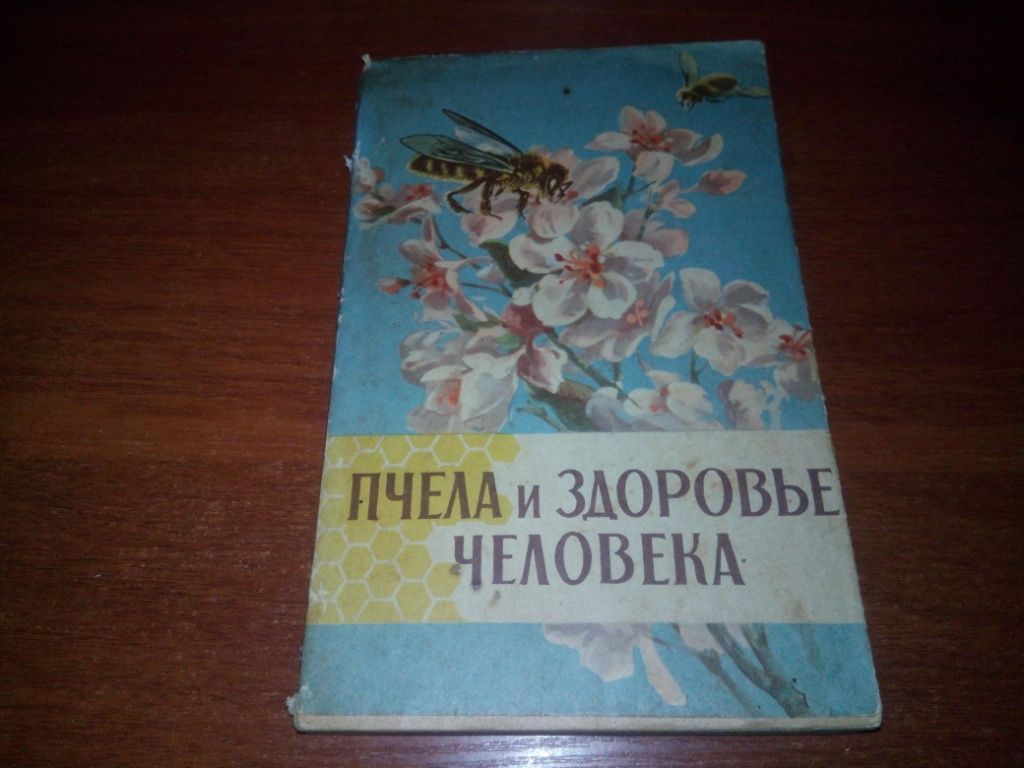 Пчела и здоровье человека - фото фото фото 0