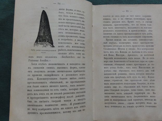 Геологические очерки. Л. Агассиса. 1867г - фото фото фото 4