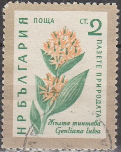 Болгария Болгарія 1960 флора - фото фото фото 0