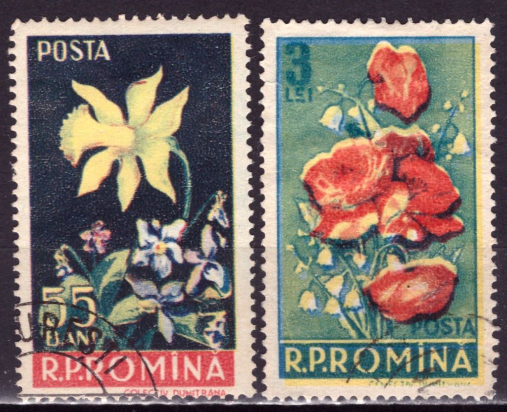 Румыния. Цветы  (концовка) 1956 г. - фото фото фото 0