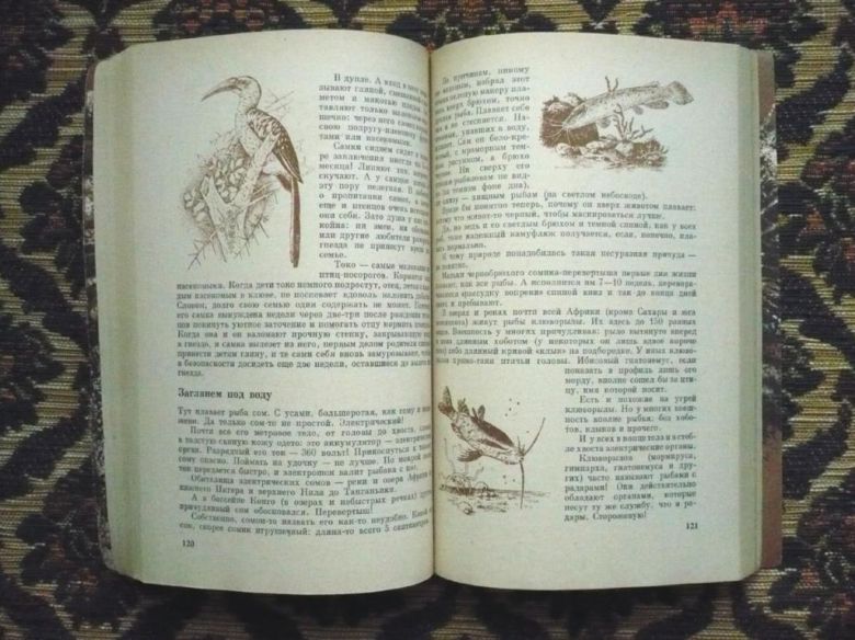 И. И. Акимушкин - Причуды природы - М.: Мысль, 1981 - К07Ж - фото фото фото 6