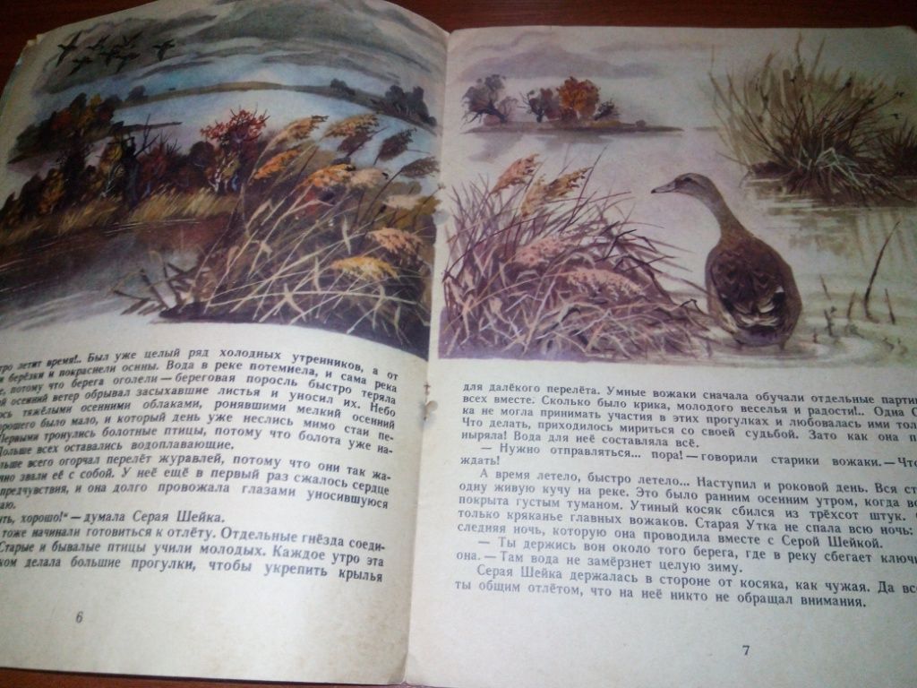 Мамин-Сибиряк СЕРАЯ ШЕЙКА  (Книжка-картинка) - фото фото фото 4