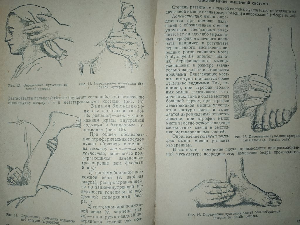 книга: МЕТОДИКА ИССЛЕДОВАНИЯ ХИРУРГИЧЕСКОГО БОЛЬНОГО, II-е изд., 1938г. - фото фото фото 3