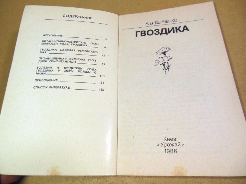 А.Д. Дьяченко. Гвоздика - фото фото фото 1