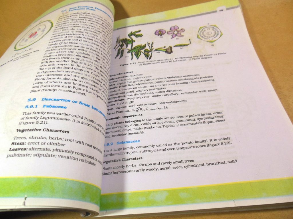 Biology: Textbook for Class XI   (NCERT) - фото фото фото 2