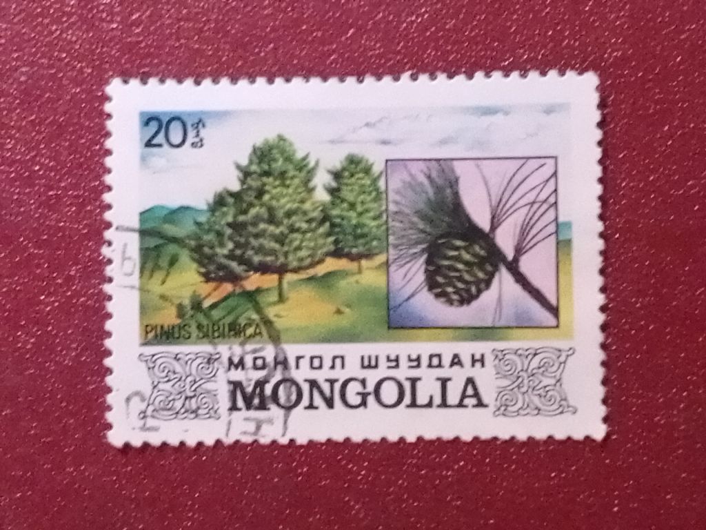 Распродажа, Монголия - фото фото фото 0