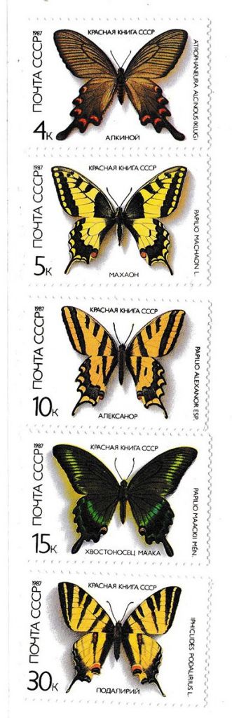 СССР  1987 г   MNH - бабочки - фото фото фото 0
