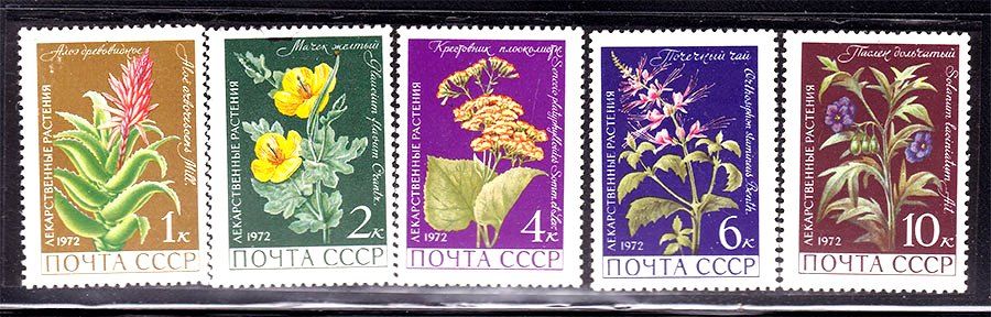 СССР 1972 г  MNH - флора - фото фото фото 0