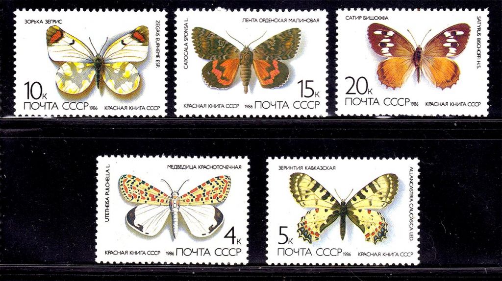СССР  1986 г   MNH - бабочки - фото фото фото 0