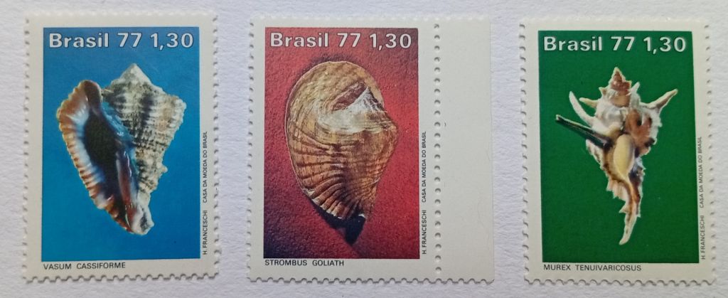 Бразилия 1977 Моллюски, MNH - фото фото фото 0