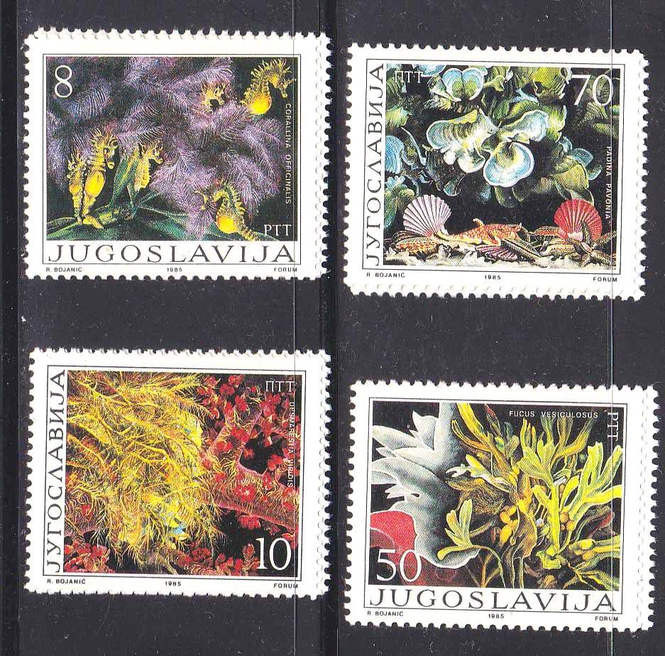 EU Югославия  1985 г MNH  -  флора - фото фото фото 0