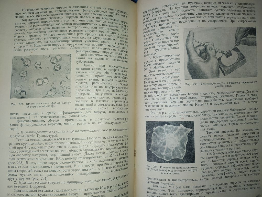 книга: УЧЕБНИК МЕДИЦИНСКОЙ МИКРОБИОЛОГИИ. II-e изд. 1949г.; - фото фото фото 6