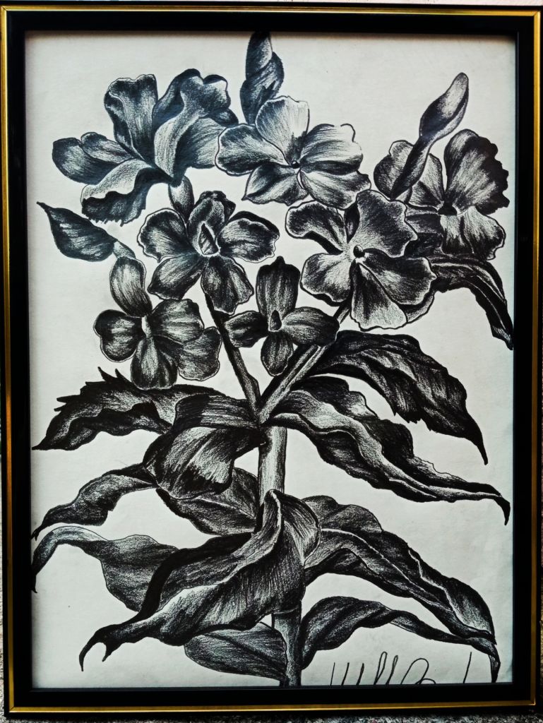 Original Botanical Drawing – Monochrome Floral Art by Artist Julia - фото фото фото 0