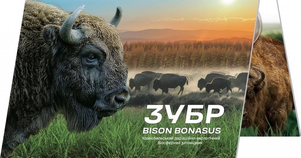 Монета НБУ 5 гривень Чорнобиль. Відродження. Зубр у сувенірному пакованні - фото фото фото 0