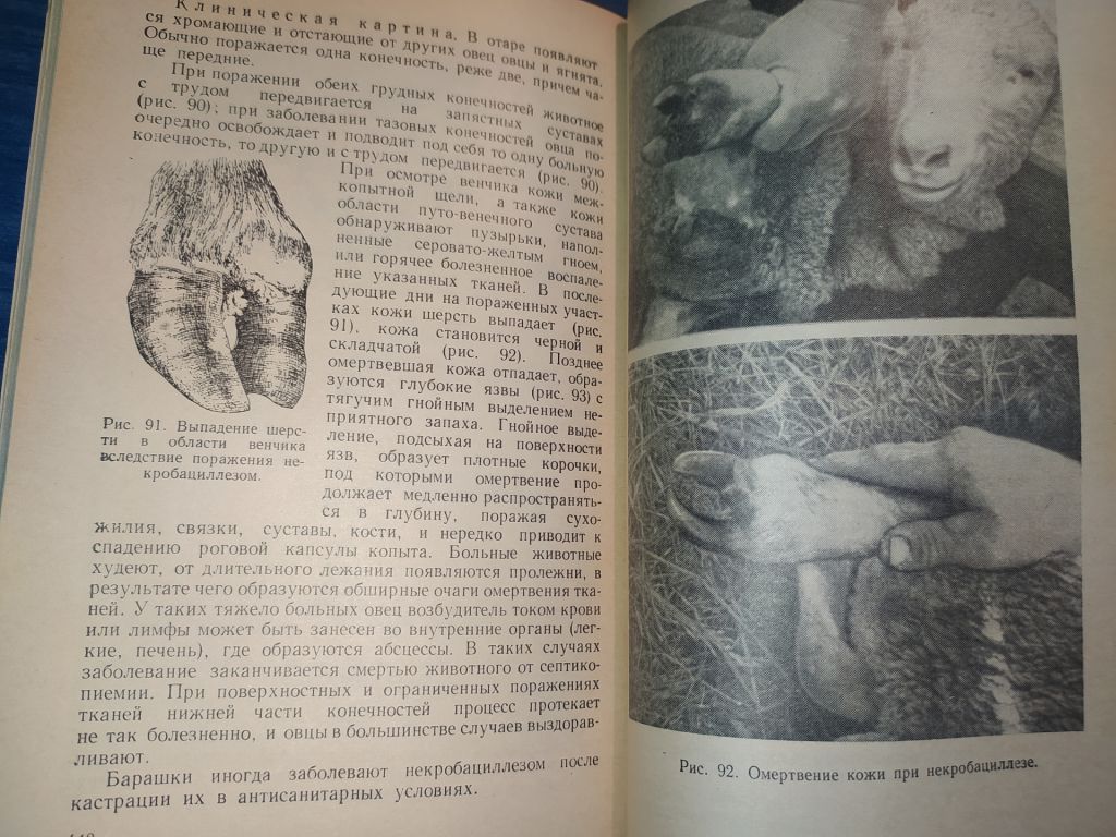 книга: ХИРУРГИЯ В ОВЦЕВОДСТВЕ 1959г. - фото фото фото 5