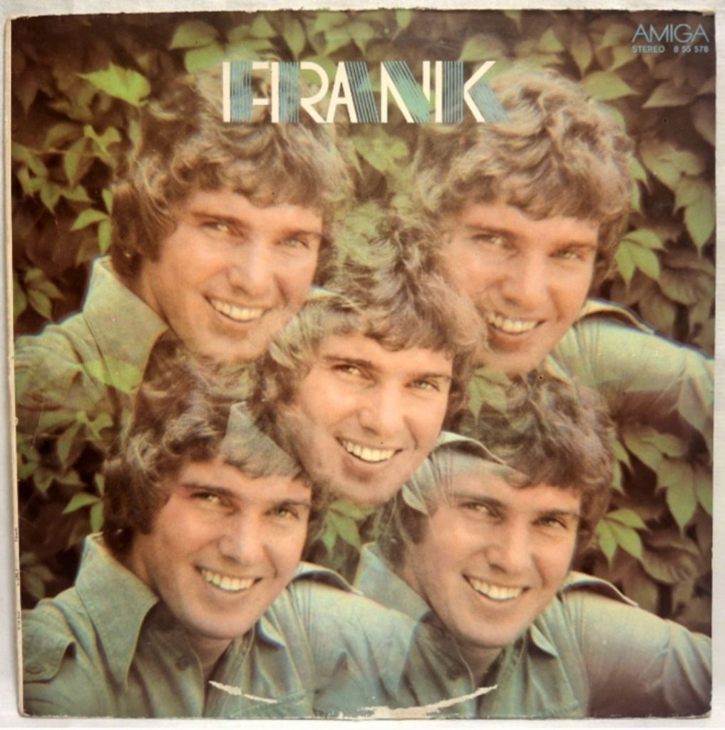 Frank Schobel - Frank - 1978.  (LP). 12. Vinyl. Пластинка. Germany. - фото фото фото 0