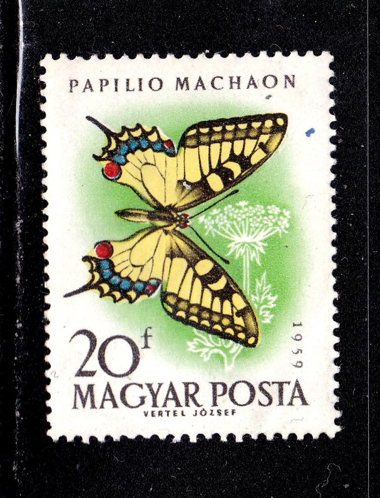 Фауна . Венгрия  MNH - - фото фото фото 0