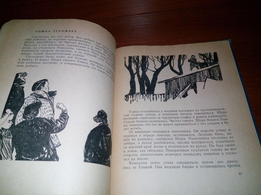 Борис Тартаковский МАЛЬЧИШКА ИЩЕТ ДРУГА   (1963). - фото фото фото 5