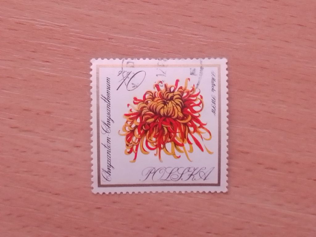 Распродажа, Польша - фото фото фото 0
