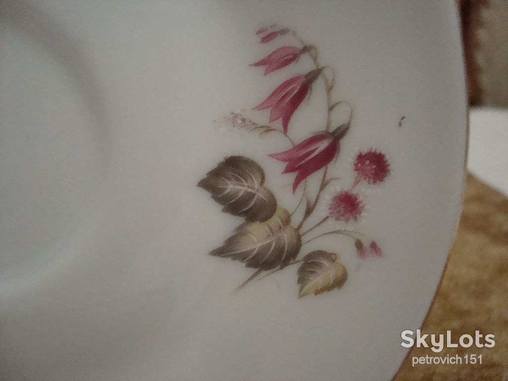 БЛЮДЦЕ ФАРФОР БАВАРИЯ ГЕРМАНИЯ №Ш(37) - фото фото фото 1