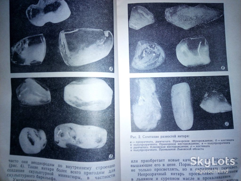 книга брошюра: МИР ЯНТАРЯ 1988г. - фото фото фото 4