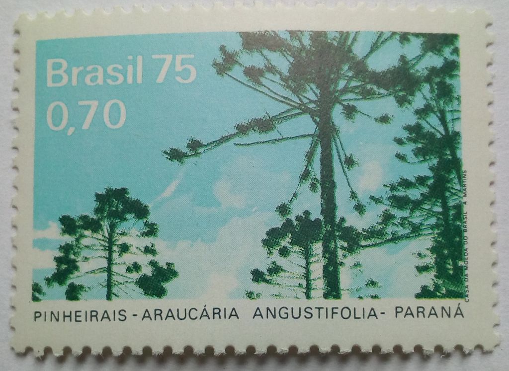 Бразилия 1975 Деревья, MNH  (КЦ=2,7 евро) - фото фото фото 0