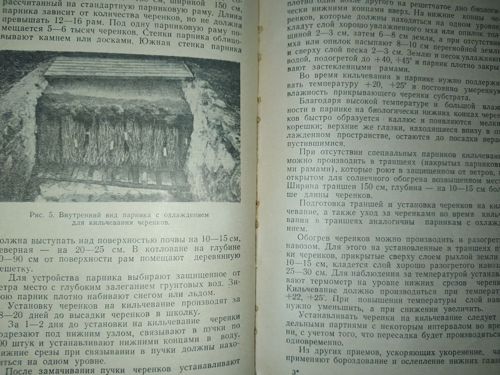 книга: СТЕПНОЕ ВИНОГРАДАРСТВО 1960г. - фото фото фото 9