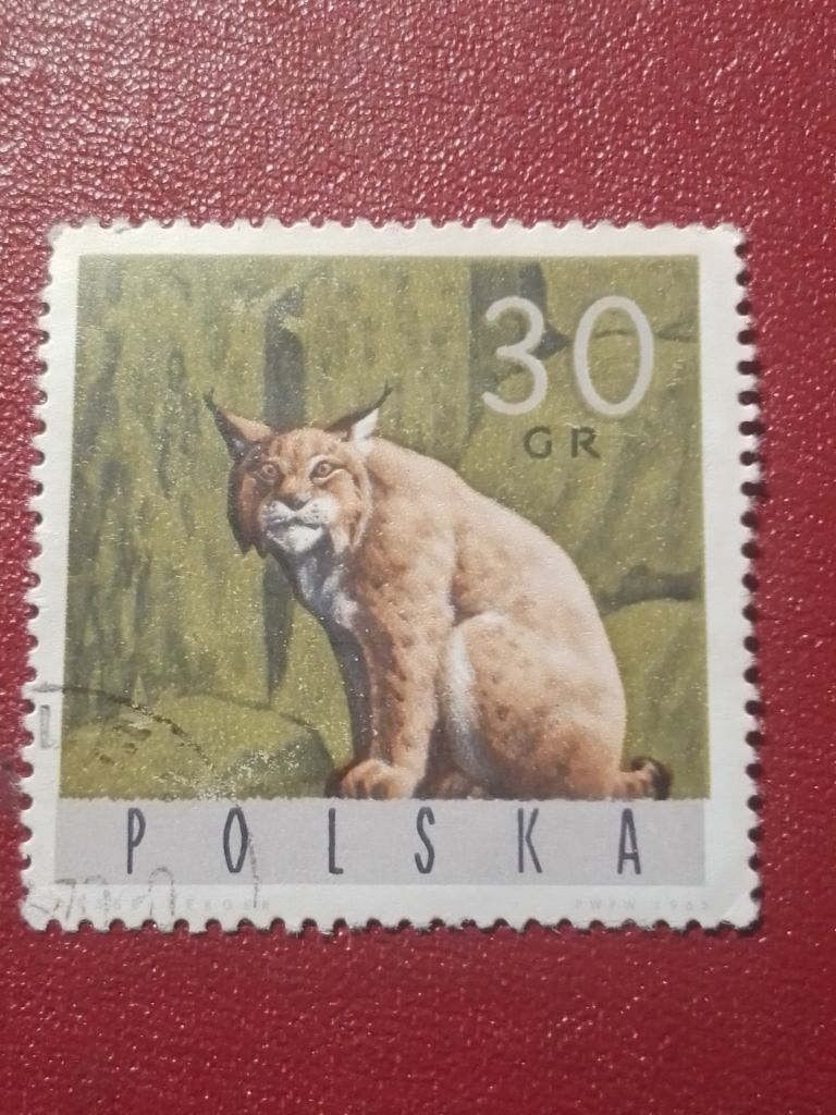 Распродажа, Польша - фото фото фото 0