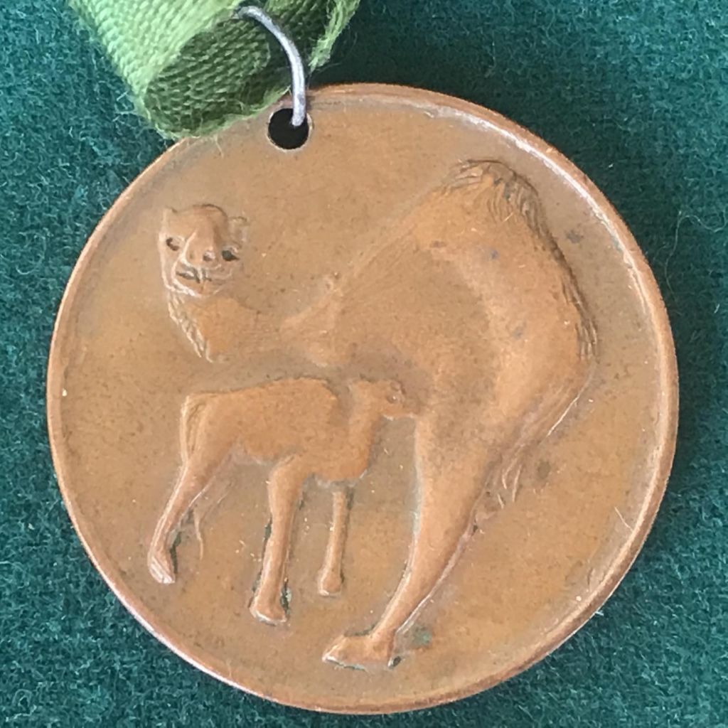 АРАБЫ МОНЕТА МЕДАЛЬ ВЕРБЛЮДИЦА КОРМИТ ВЕРБЛЮЖОНКА пальма медь 39 мм - фото фото фото 0