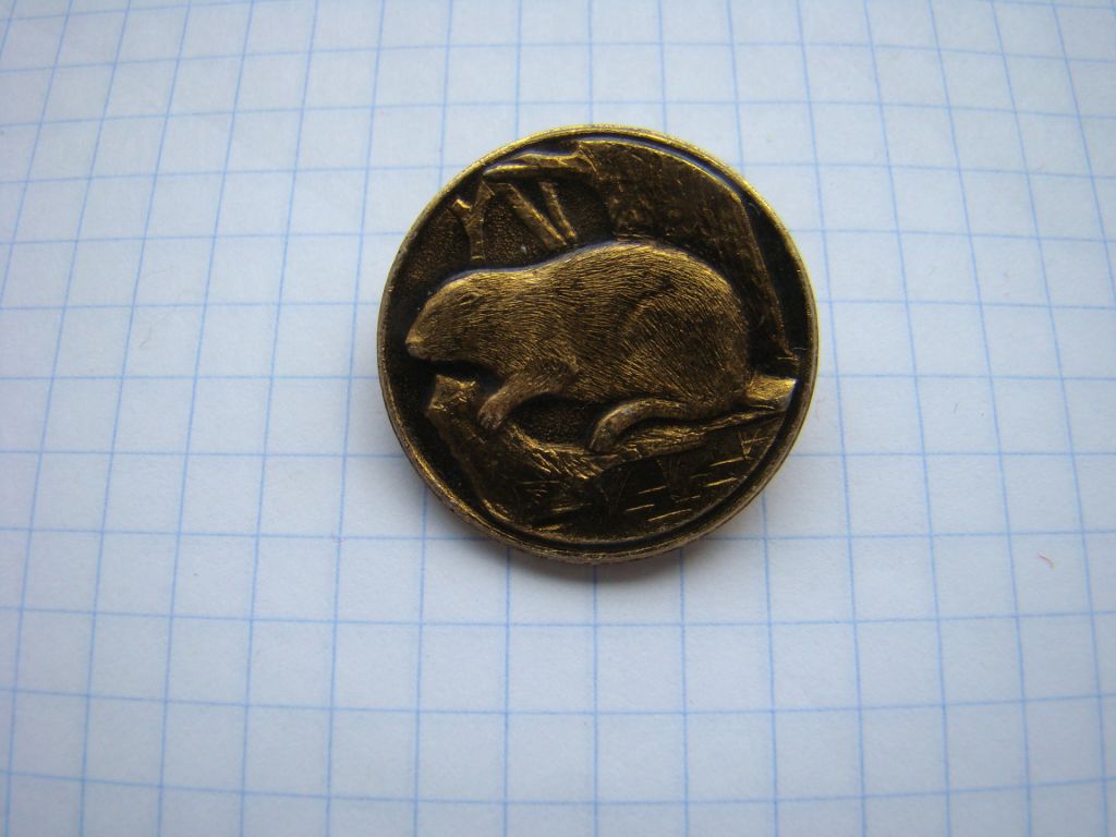 Значок фауна Бобер. - фото фото фото 0