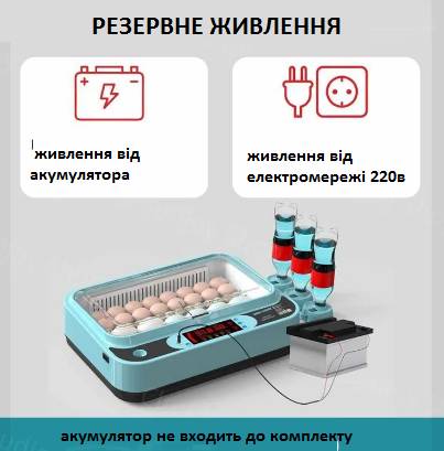 Інкубатор повний автомат 220В/12В на 32 курячих яєць - фото фото фото 2