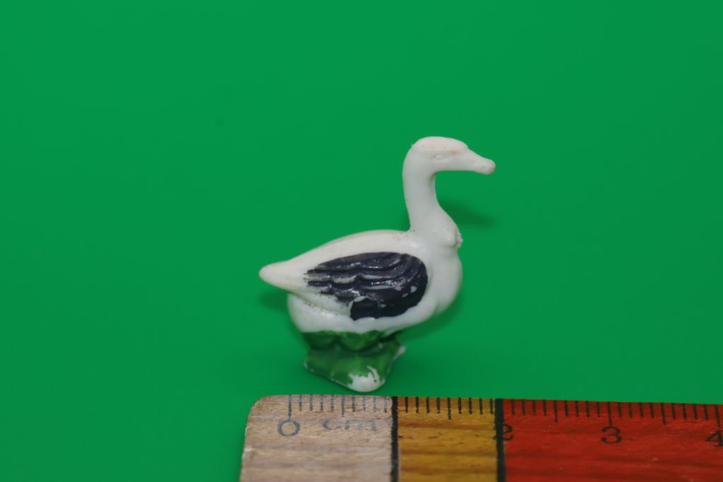 ГУСАК КАЧКА ПТАХИ  животные Гонконг - фото фото фото 0