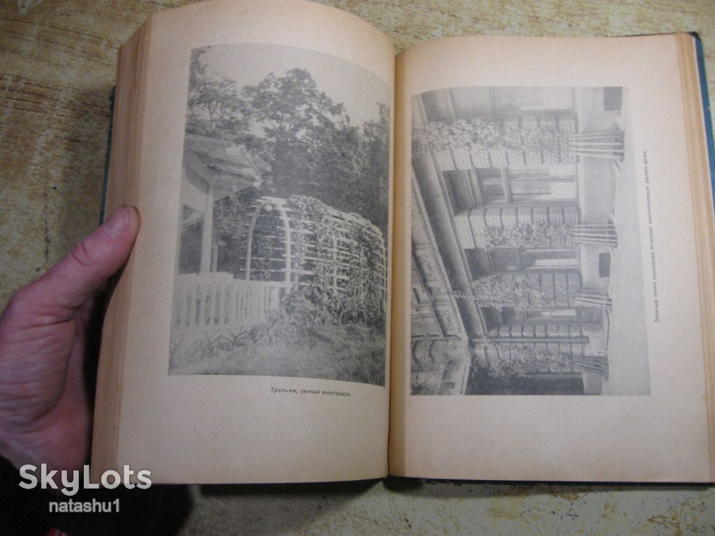 настольная книга виноградаря 1967г - фото фото фото 5