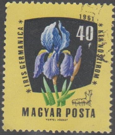 Венгрия 1961 флора цветы - фото фото фото 0